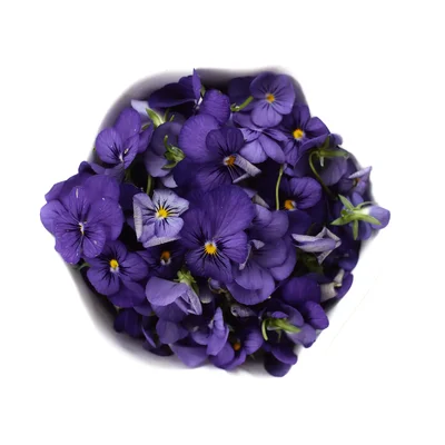 purple pansies clustered together overhead view